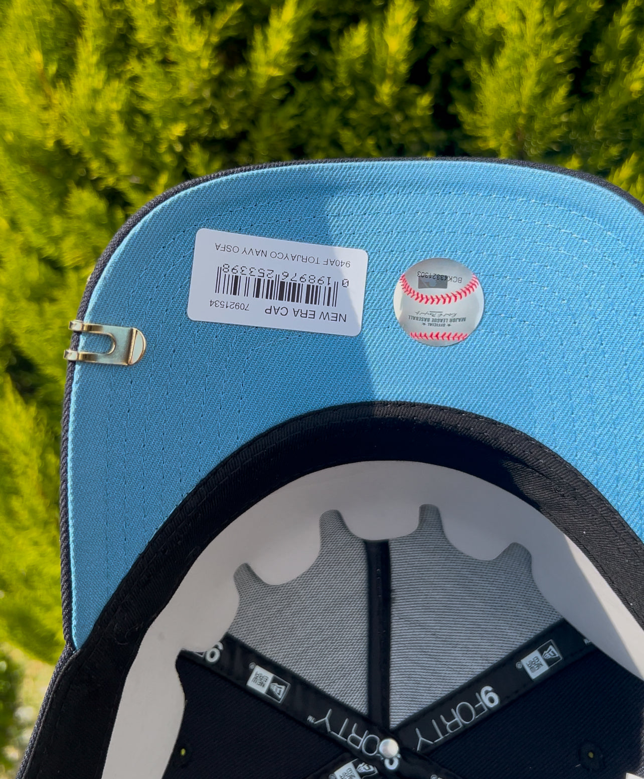 Toronto Blue Jays 10 Anniversary🥶