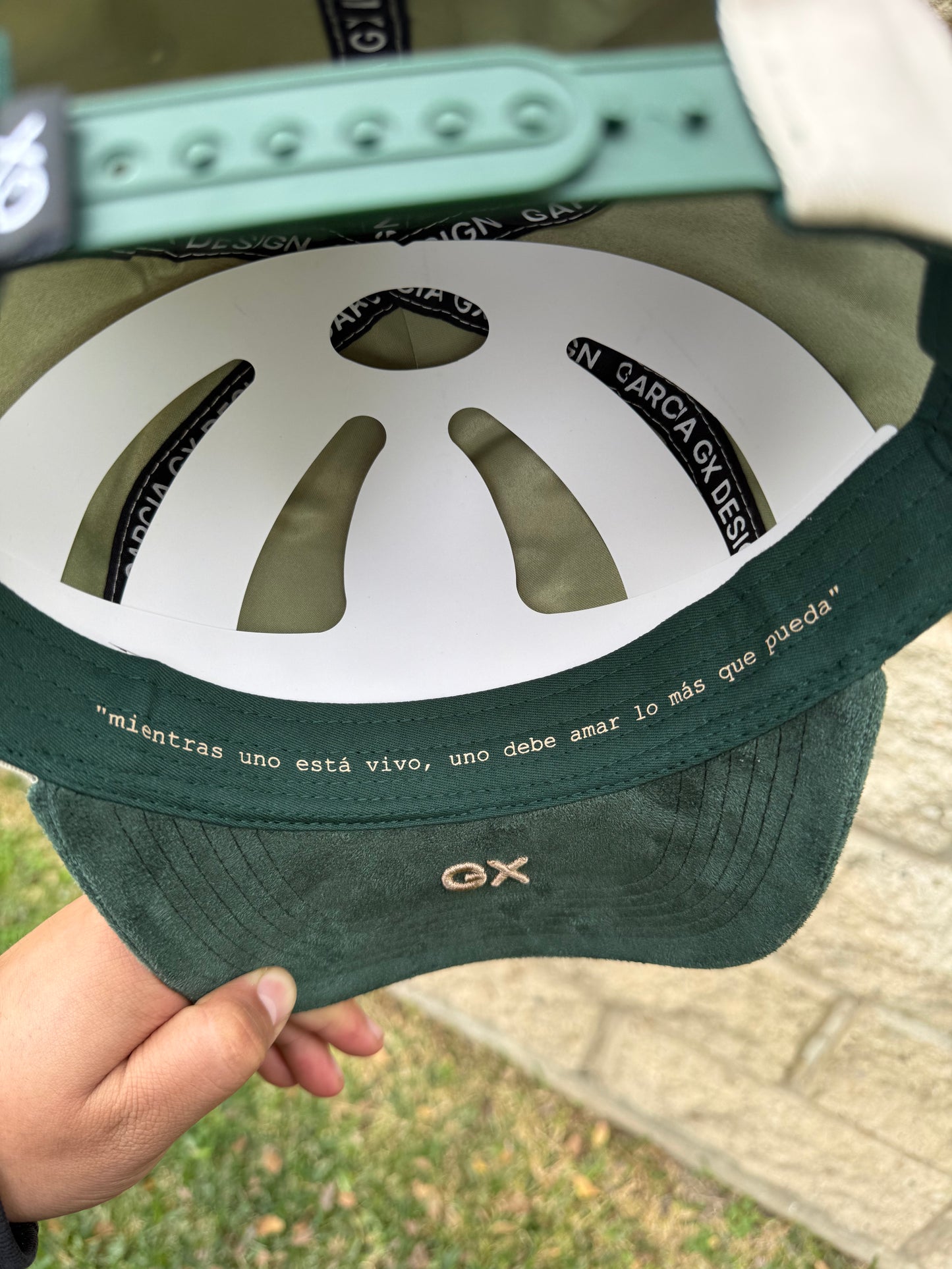 Debí tirar mas fotos🐸