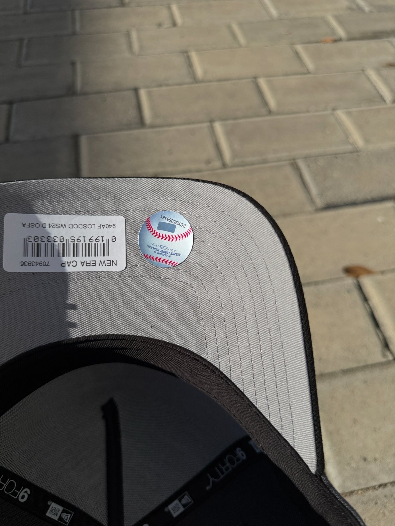 Los Angeles Dodgers 2024 World Series Champions