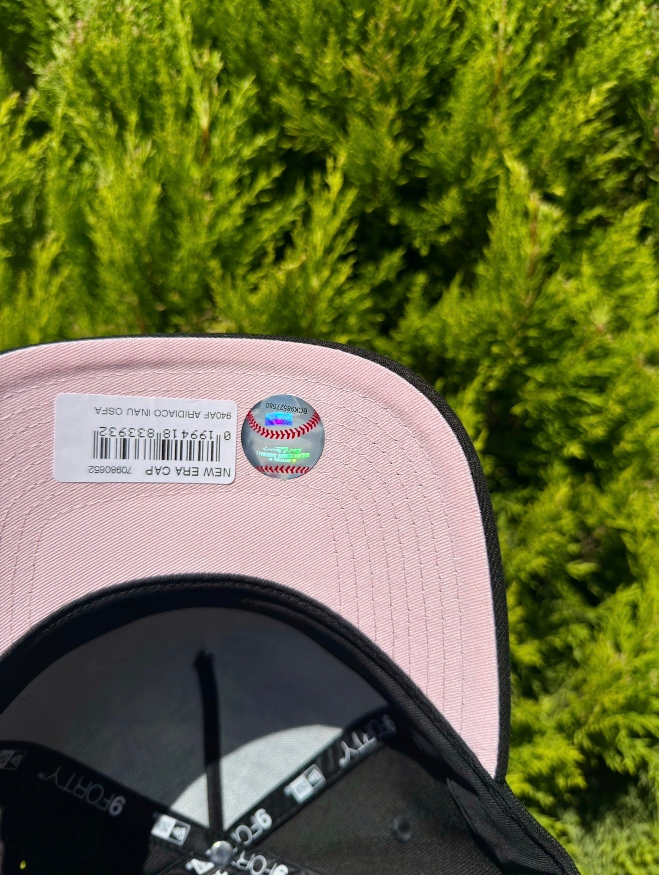 Arizona D-Backs 1998 Season🐍🌸