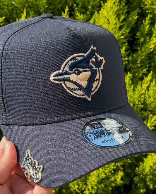 Toronto Blue Jays 10 Anniversary🥶