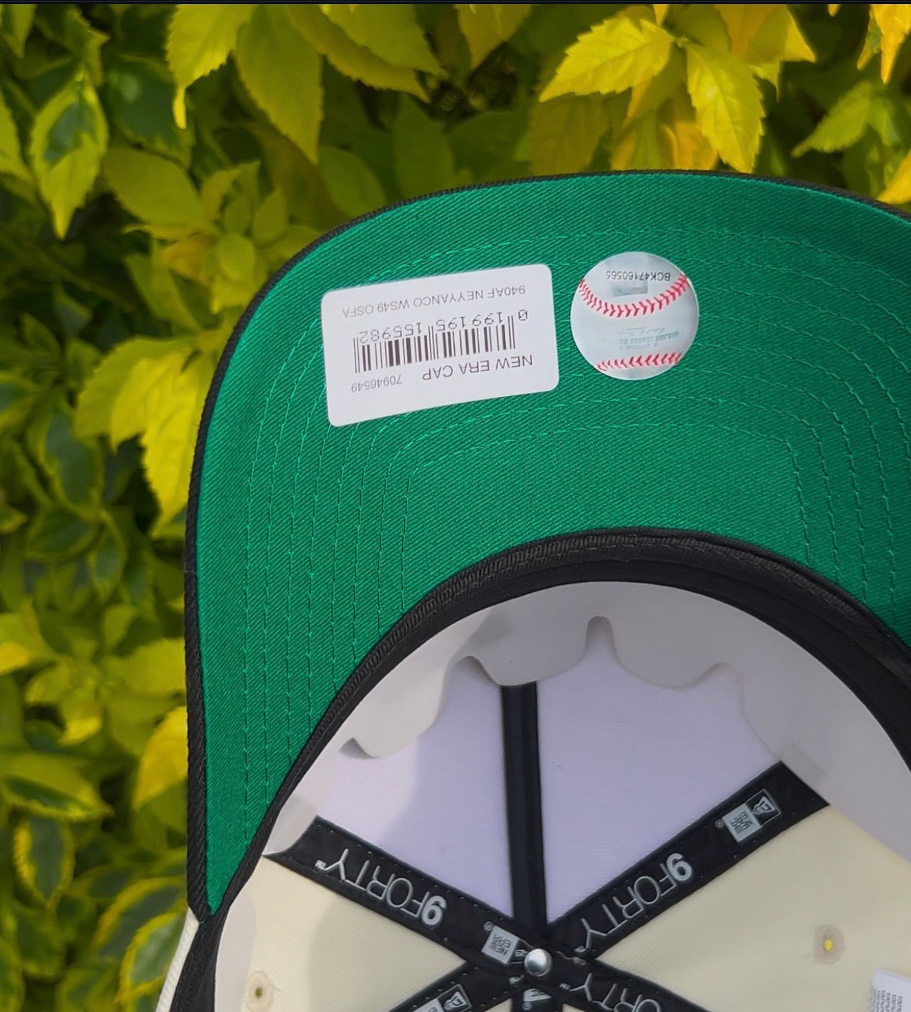 New York Yankees Script 1949 World Series🔥