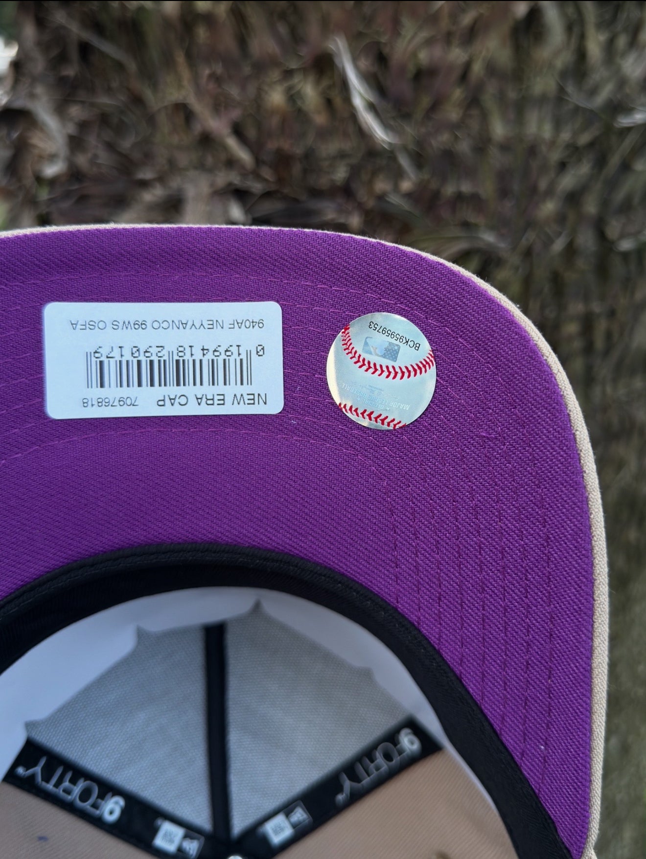 New York Yankees Camel Purple🟣