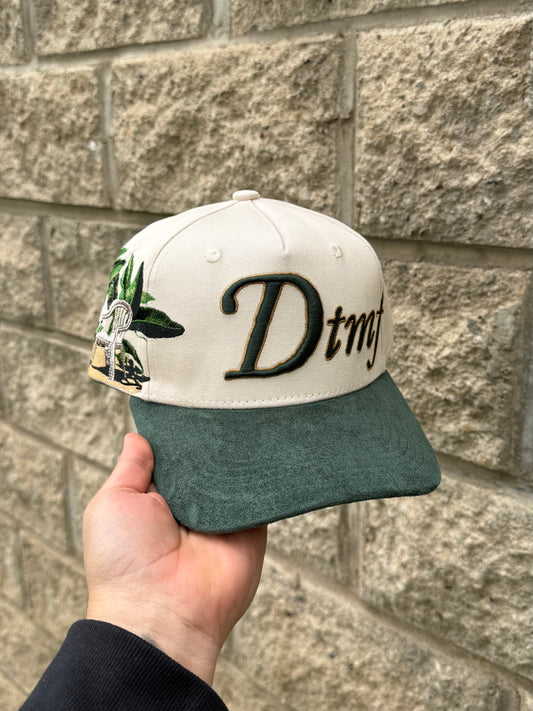 Debí tirar mas fotos🐸