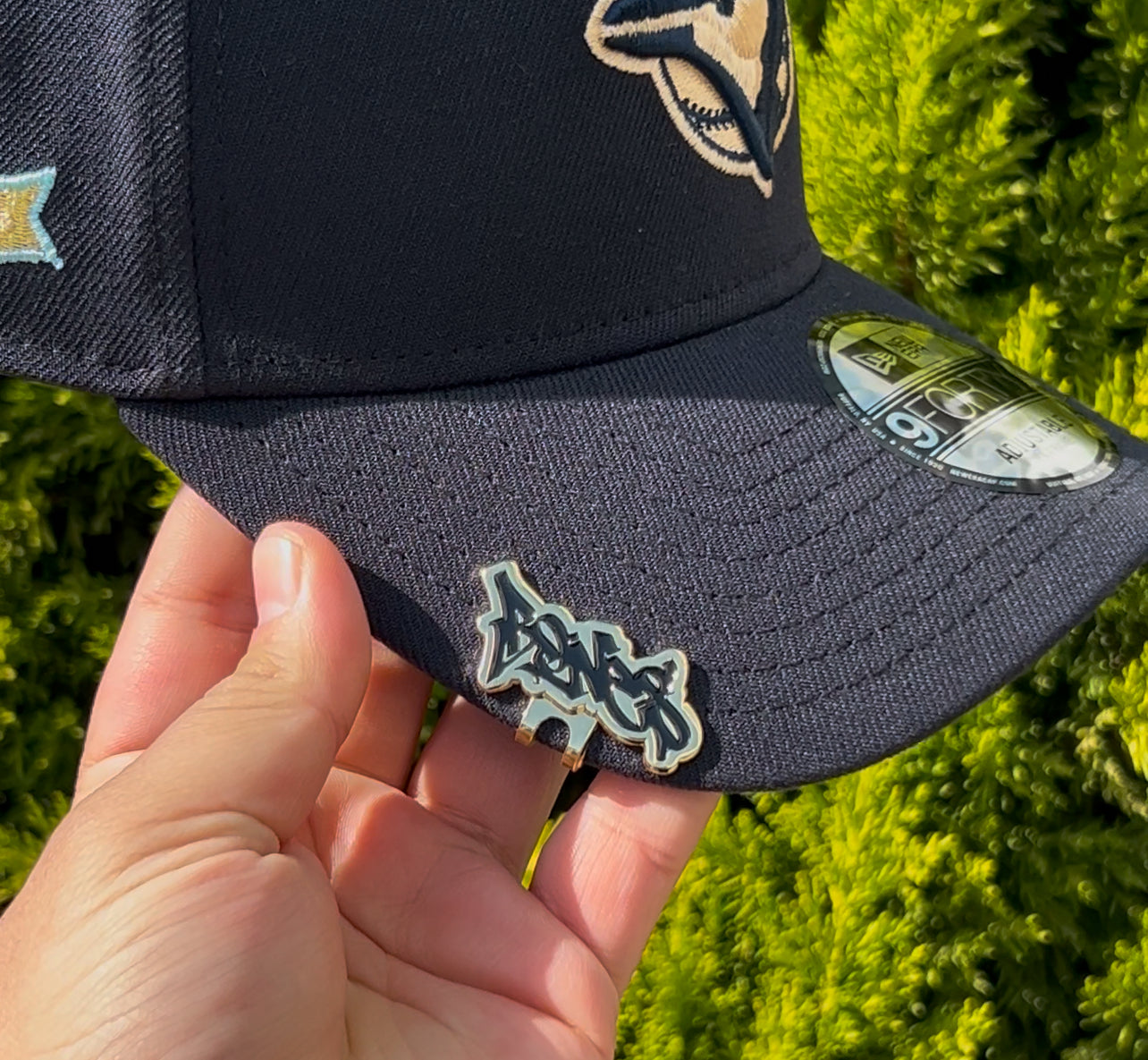 Toronto Blue Jays 10 Anniversary🥶