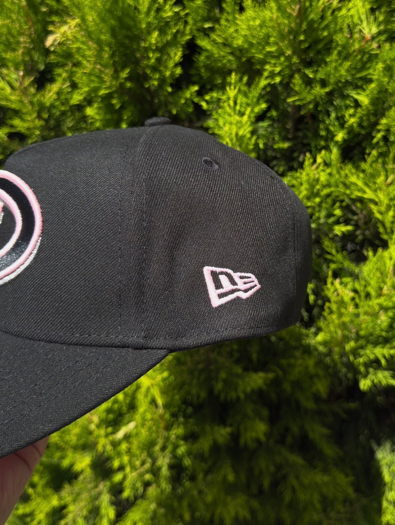 Arizona D-Backs 1998 Season🐍🌸