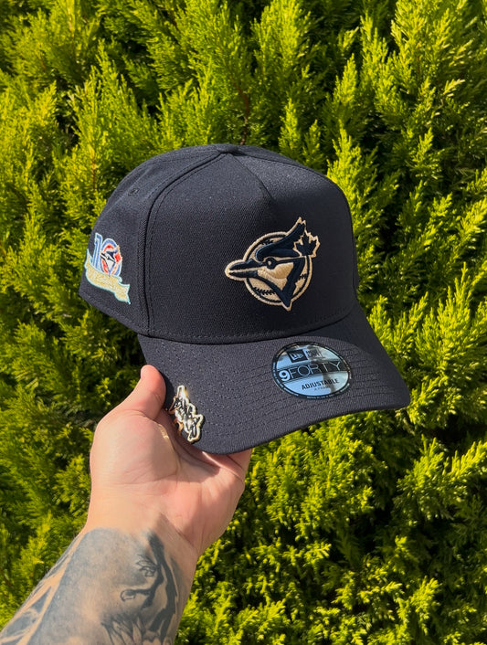 Toronto Blue Jays 10 Anniversary🥶