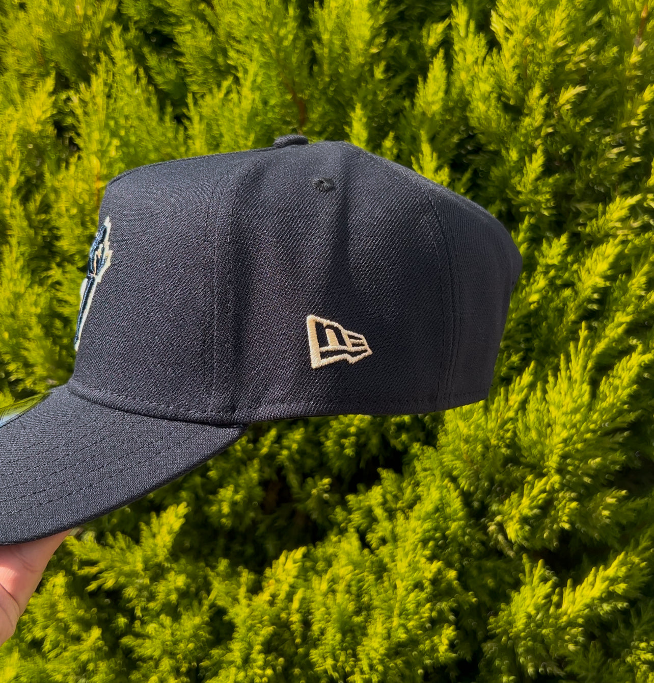 Toronto Blue Jays 10 Anniversary🥶