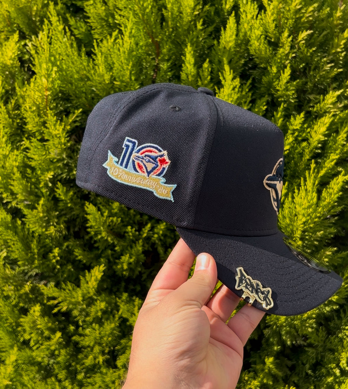 Toronto Blue Jays 10 Anniversary🥶