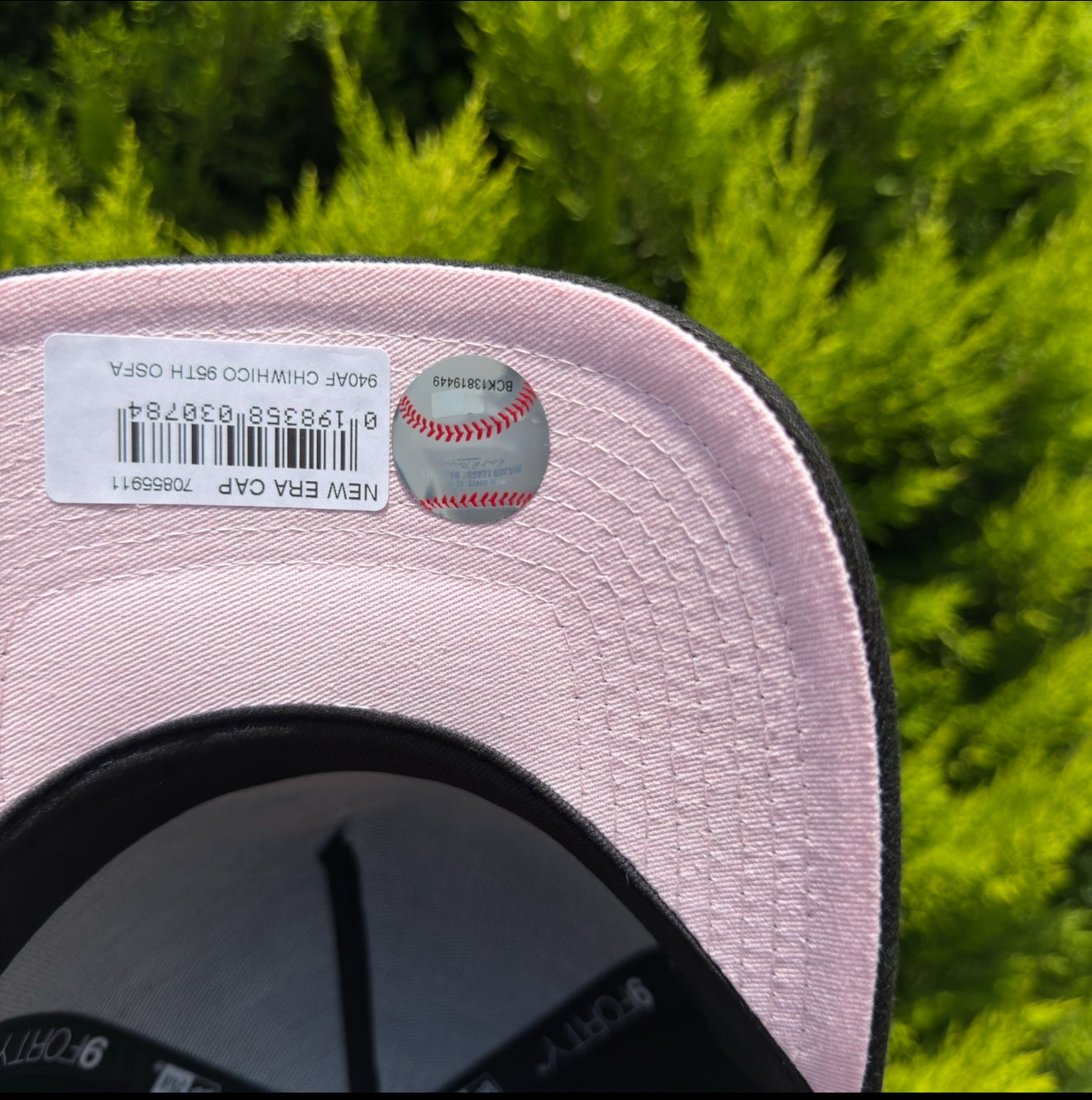 Chicago White Sox 95 Years Anniversary🌸